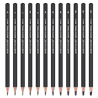 PANDAFLY Professional Drawing Sketching Pencil Set - 12 Pieces Graphite  Pencils(14B - 2H), Ideal for Drawing Art, Sketching, Shading, Artist Pencils  for Beginners & Pro Artists 12 Pack - Black