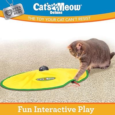 SONGWAY Interactive Cat Feather Toys - 7 Pcs Cat Toy Set
