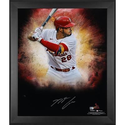 Framed Paul Goldschmidt St. Louis Cardinals Autographed Powder