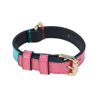 GoTags Nylon Personalized Dog Collar, Blue, X-Small: 8 to 12-in Neck, 3/8-in Wide