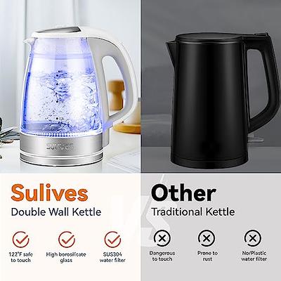 Dezin Electric Kettle, 0.8L Portable Travel Kettle with Double Wall  Construction