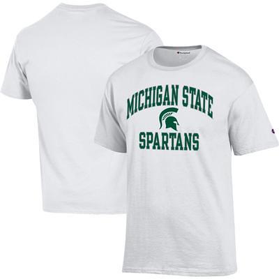 Nike Michigan State Spartans Gray Basketball Drop Legend Performance T-Shirt