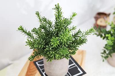 Set of 3 Mini Potted Artificial Plants Small Fake Plants Artificial Potted Plants  Artificial Eucalyptus Plants Faux Rosemary Plant 