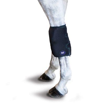 Full Hind Leg Wraps