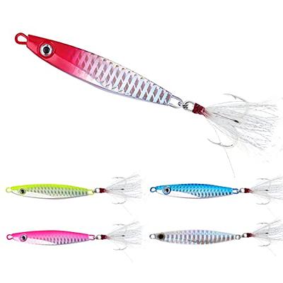 IZA Fishing Lead Jigs Lures 5PCS Saltwater Fishing Lures with