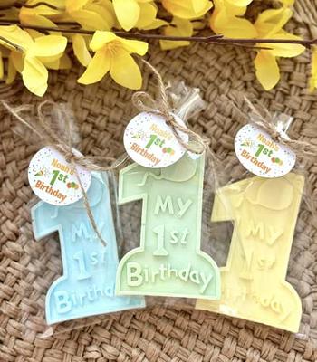 Personalized Birthday Party bag. Great Birthday or Girls Weekend