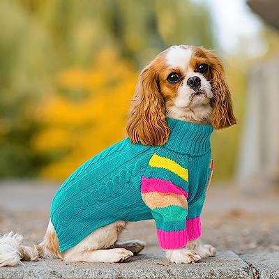 Dachshund Sweater Dog Clothes Dog Clothing Dog Sweater 