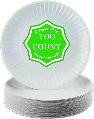 100 Count 9-Inch Paper Plates Uncoated Disposable Dinner Plates White