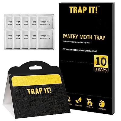 Raid Clothing Moth Trap, 12 Packs Of 2 
