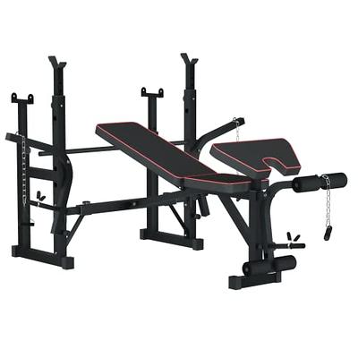 SQUATZ Sissy Squat Machine - Foldable Squatting Bench for Home Gym Workout  Station and Leg Exercise, Designed to Train Abs, Thighs, and Glutes,  Multifunctional Equipment for Fitness and Training 