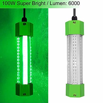 Ankey 12V 100W 6000 Lumen IP68 Led Fish Bait Crappie Luring Light  Submersible Fishing Light Attractants Underwater Night Fishing Lure Bait  Finder with Super Long 24.6 Ft Power Cord - Yahoo Shopping