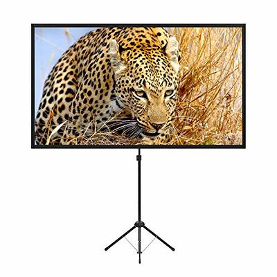 Projector Screen with Stand, Vamvo 80 inch Portable Foldable Projection  Screen 16:9 HD 4K Indoor Outdoor Projector Movies Screen for Home Theater