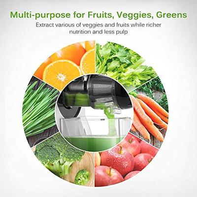  Kedemas Cold Press Juicer Machine Easy to Clean - Slow  Masticating Juicers with Reverse Function - Orange Juicer with Cleaning  Brush and 2 Cups - Quiet Freshly Squeezed - Silver: Home & Kitchen