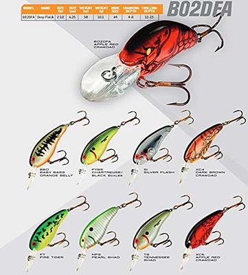  Paddle Tail Swimbaits, Soft Plastic Baits For Bass