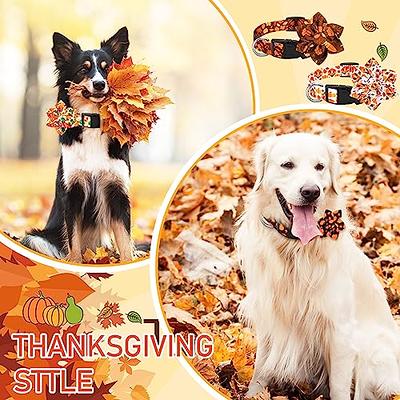 Beirui Cute Girl Dog Collars for Small Medium Large Dogs, Multiple Floral  Patterns Female Pet Dog Collars with Flower for Wedding Holiday(M:Neck