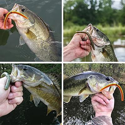 How to Catch fish with a wacky worm rig with an O-ring « Fishing