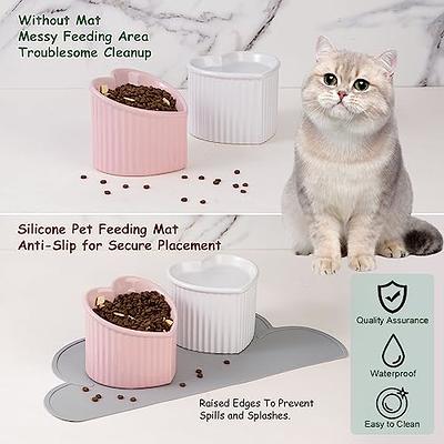 Cat Food Water Bowl Set - Raised Ceramic Cat Feeding Bowls with