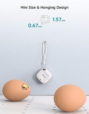 Govee Humidity Meter, Mini Bluetooth Hygrometer Thermometer