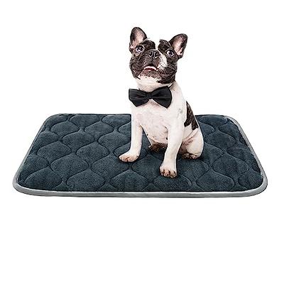 Magic Dog Large Dog Bed Soft Dog Crate Pad Dog Mat 42 Inches Machine  Washable Pet Bed Kennel Pad with Non-Slip Bottom, Dark Gray L