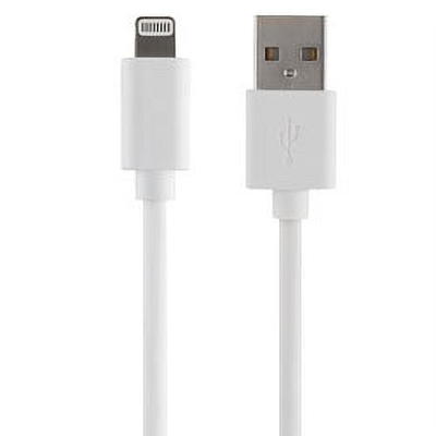 Bytech Apple Lightning Cable, 10 Ft, White 