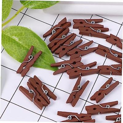 Levemolo 100 Pcs White Mini Clothes Tiny Clothespins Black Pegs