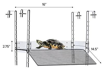 LaBrinx Designs Extra Large Suction Cup Shelf - Live Plants, Windows, and  Bathrooms