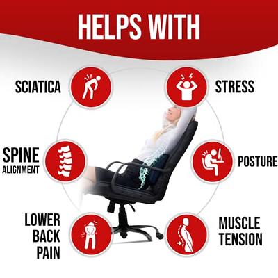 FORTEM Lumbar Support Office Chair, Lumbar Support Pillow for Car