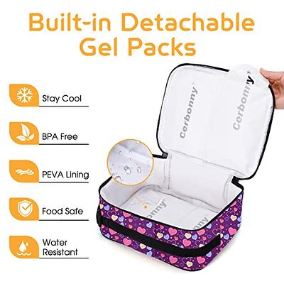 Freezable Lunch Bag,Lunch Box with Ice Packs,Small Cooler Lunch Box with Detachable Ice Packs,Small Insulated Cooler Bag,Freezable Lunch Bags with