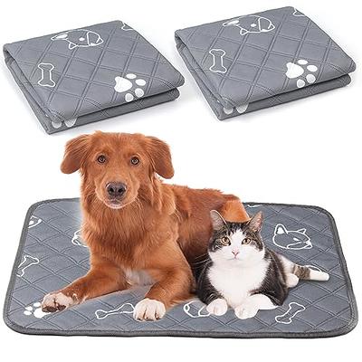 LOOBANI 2 Packs Extra Large Reusable Dog Mat for Floor, Non-Slip Washable  Pee Pads for Dogs, Fast Absorbent Pet Whelping Pads, Puppy Playpen Mat for