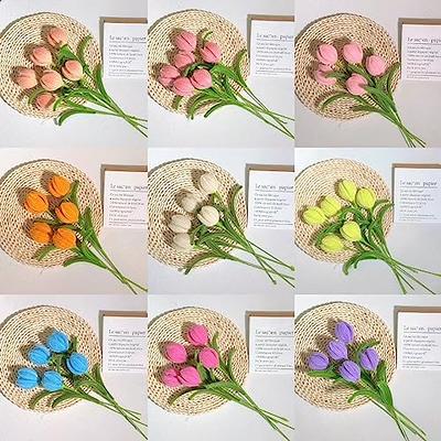 161pcs Pipe Cleaners Craft Supplies Chenille Stems Flower Craft Kit DIY  Tulip Bouquet Making Kit Fuzzy Sticks Crafting Materials Bendable Wire Bulk  For Art Classroom Valentine'S Day Mothers Day Gift