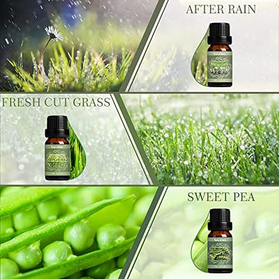 Fresh, Fragrance Oil Set