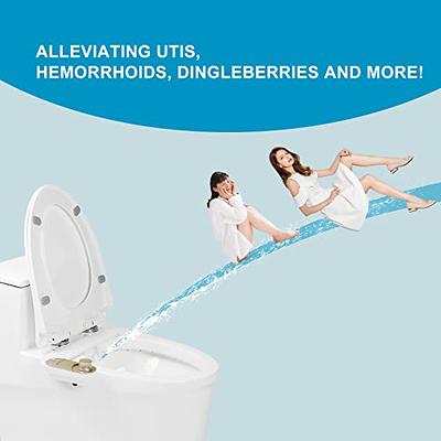 BUTT BUDDY - Bidet Toilet Seat Attachment & Fresh Water Sprayer (Easy to  Install, Universal Fit, No Plumbing or Electricity Required | Self-Cleaning