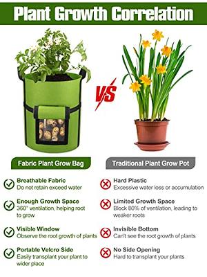 Grow Bags vs Plastic Pots: Which is Better for Your Plants?