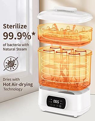 Baby Brezza Advanced Bottle Sanitizer with Natural Steam Sterilization and  Drying in the Baby Food Makers & Bottle Warmers department at