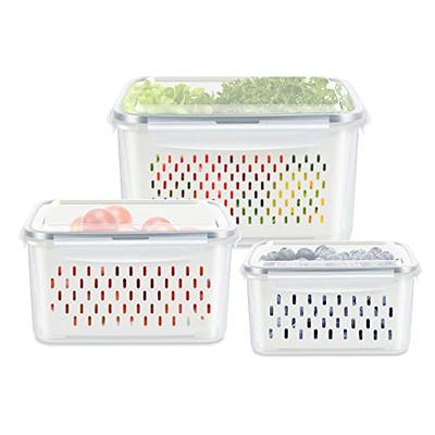 3 Pack Fruit Storage Containers for Fridge, Produce Saver Vegetable  Container with Drain Colanders - Refrigerator Organizer for Lettuce Berry  Keepers - Yahoo Shopping