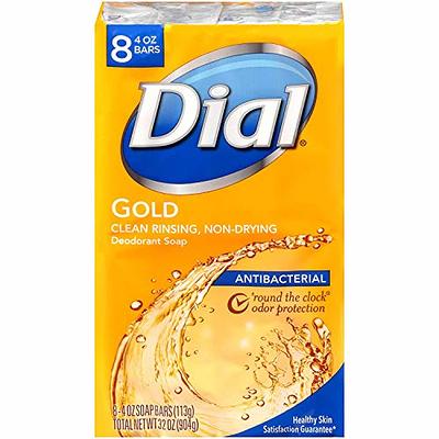 Dial Professional Gold Antibacterial Liquid Hand Soap, 1 Gallon Refill  Bottle