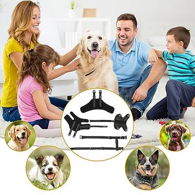 Dog Knee Brace, Dog Leg Braces for Back Leg for ACL, Knee Cap Dislocation,  Arthritis, Reduces Pain and Inflammation with Side Stabilizers Dog Leg