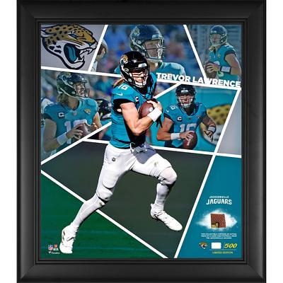 Philadelphia Eagles 2017 NFC Champions Framed 15'' x 17'' Collage