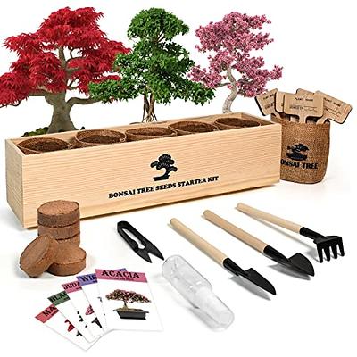 Bonsai Starter Kit - The Complete Growing Kit to Easily Grow 4 Bonsai Trees  from Seed + Comprehensive Guide & Bamboo Plant Markers : Unusual Gardening