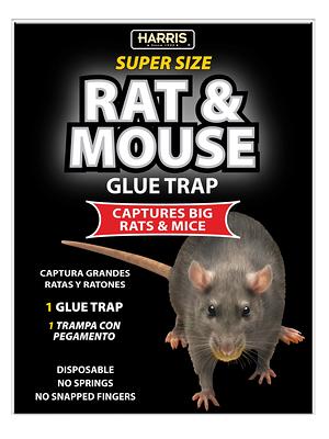 4 Rat Trap Snare Mouse Glue Traps Mice Rodent Super Sticky Boards