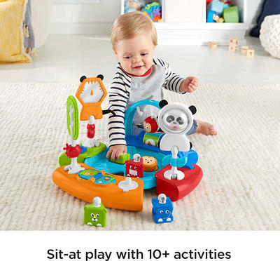 Fisher Price 3-in-1 Activity Center, SnugaPuppy