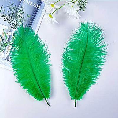 Ostrich Feathers for Centerpieces: 12-14 Inches (30-35cm) 60 Pcs Ostrich  Feathers Bulk, Large Feathers for Centerpieces, Table, Flower Arrangement  and