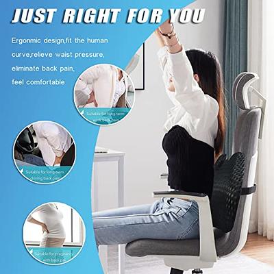 CICIDO+ 2 Pack Lumbar Support Pillow for Office Chair Lower Back