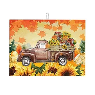 Ksajwzf Pumpkin Sunflower Autumn Fall Dish Drying Mat for Kitchen Counter,  Thanksgiving Microfiber Drying Rack Pads for Countertop Dishes Absorbent Drain  Mats and Protector Coffee Bar Mats 18x24 inch - Yahoo Shopping