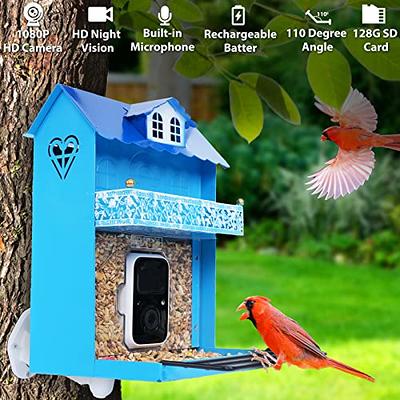 Smart Bird Feeder with Camera, Netvue Birdfy Bird Watching Camera Gift for  Parents and Bird Lover, Blue (Free AI) 