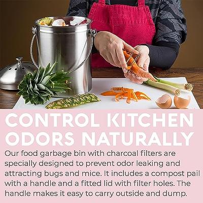 Kitchen 1.3 Gallon Counter Compost Bin Small Hanging Trash Can