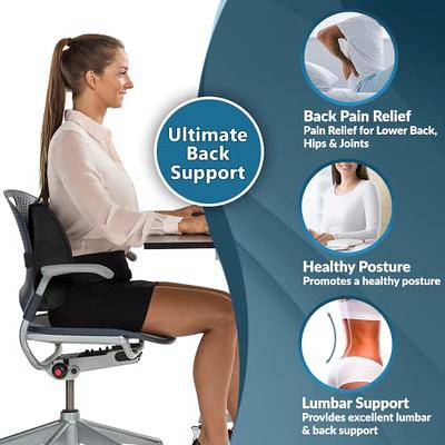 Lumbar Support Pillow for Office Chair Back Support Pillow for Car,  Computer, Gaming Chair, Recliner Memory Foam Back Cushion for Back Pain  Relief Improve Posture, Mesh Cover Double Adjustable Straps 