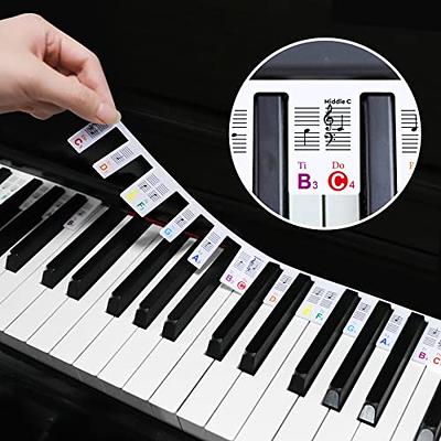 Gute Piano Key Stickers for Beginners, Removable Piano Keyboard Note  Labels, 88 Key Full Size Silicone Reusable No Need Stickers Piano Keyboard  Lables Comes with Box(Color) - Yahoo Shopping