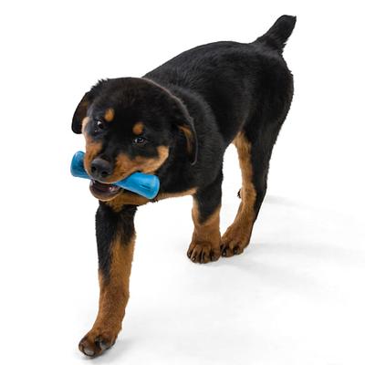 West Paw Qwizl Treat Assorted Dog Chew Toy, Small