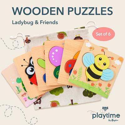 Wooden Puzzles in Storage Box, Set of 3